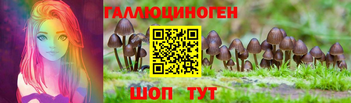 Галлюциногенные грибы Cubensis Кисловодск