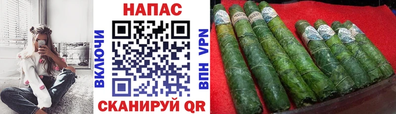 Бошки Шишки VHQ Кисловодск